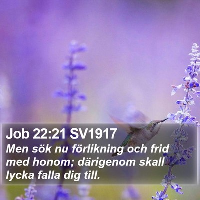 Job 22:21 SV1917 Bible Verse Image