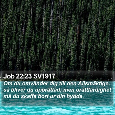 Job 22:23 SV1917 Bible Verse Image