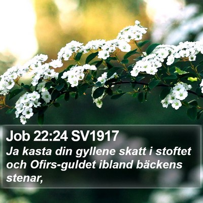Job 22:24 SV1917 Bible Verse Image