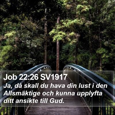 Job 22:26 SV1917 Bible Verse Image