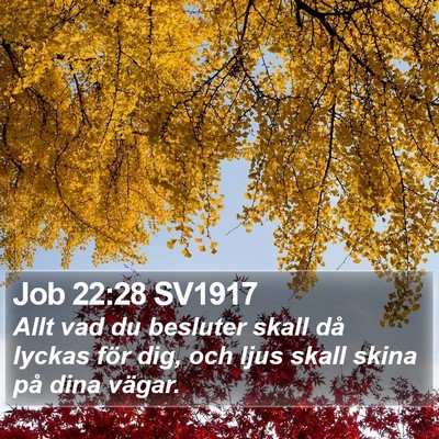 Job 22:28 SV1917 Bible Verse Image
