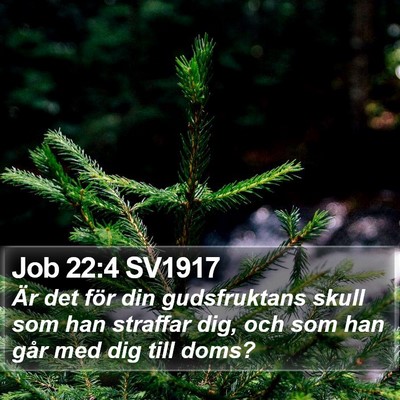 Job 22:4 SV1917 Bible Verse Image