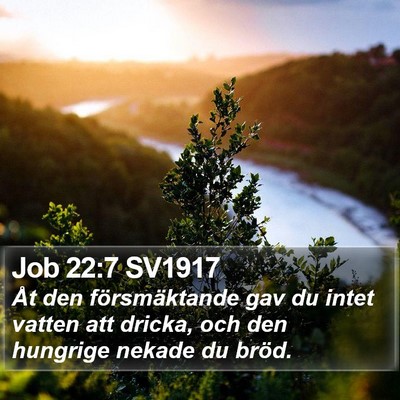 Job 22:7 SV1917 Bible Verse Image