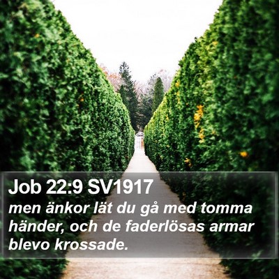 Job 22:9 SV1917 Bible Verse Image