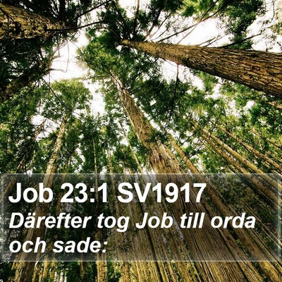 Job 23:1 SV1917 Bible Verse Image