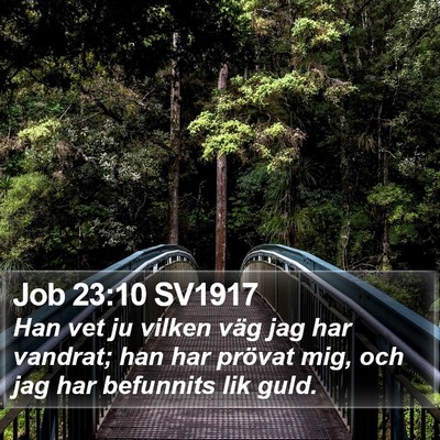 Job 23:10 SV1917 Bible Verse Image