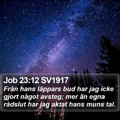 Job 23:12 SV1917 Bible Verse Image