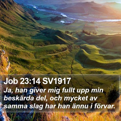 Job 23:14 SV1917 Bible Verse Image