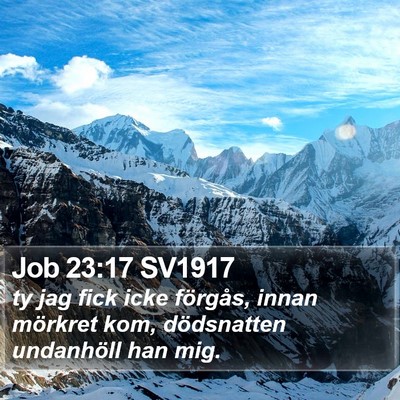 Job 23:17 SV1917 Bible Verse Image
