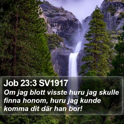 Job 23:3 SV1917 Bible Verse Image