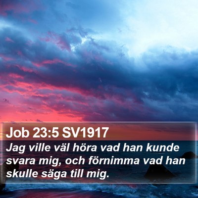 Job 23:5 SV1917 Bible Verse Image