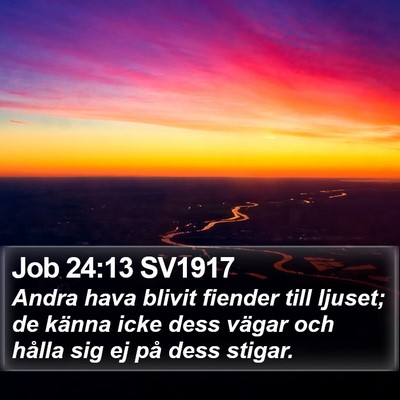 Job 24:13 SV1917 Bible Verse Image