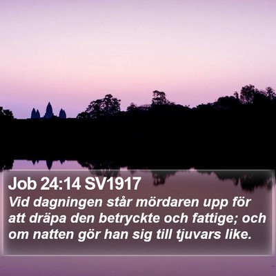 Job 24:14 SV1917 Bible Verse Image