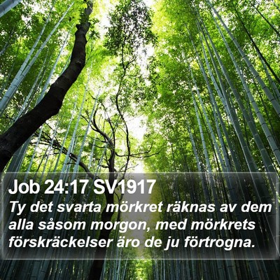 Job 24:17 SV1917 Bible Verse Image