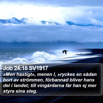 Job 24:18 SV1917 Bible Verse Image