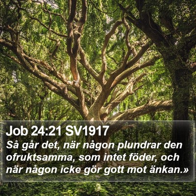 Job 24:21 SV1917 Bible Verse Image