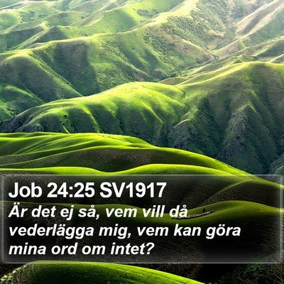 Job 24:25 SV1917 Bible Verse Image