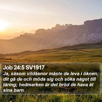 Job 24:5 SV1917 Bible Verse Image
