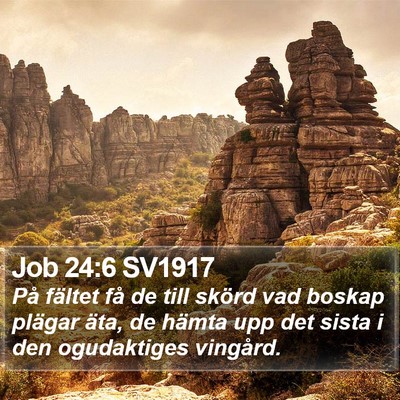 Job 24:6 SV1917 Bible Verse Image