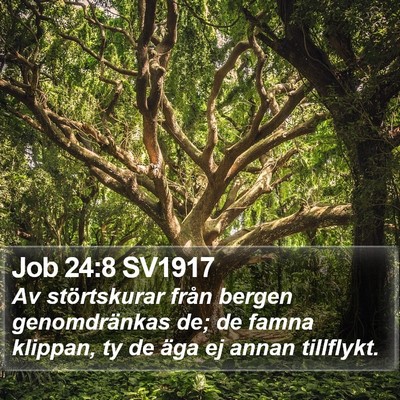 Job 24:8 SV1917 Bible Verse Image