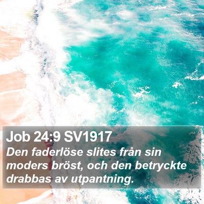 Job 24:9 SV1917 Bible Verse Image