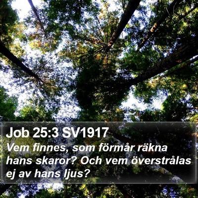 Job 25:3 SV1917 Bible Verse Image