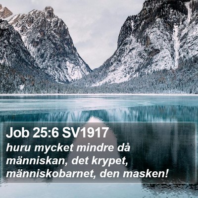 Job 25:6 SV1917 Bible Verse Image