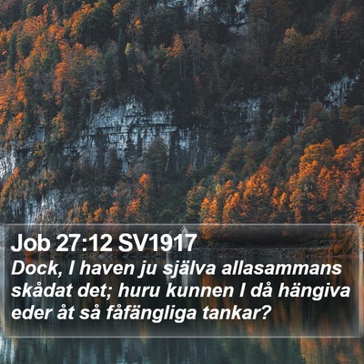 Job 27:12 SV1917 Bible Verse Image