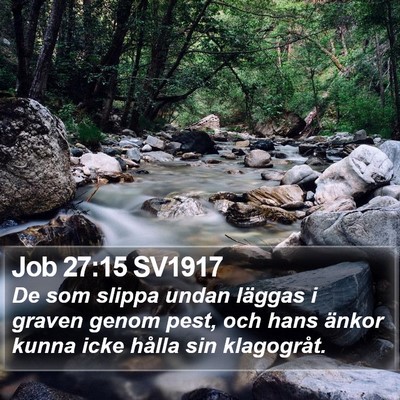 Job 27:15 SV1917 Bible Verse Image