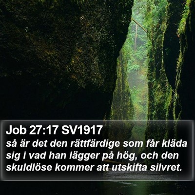 Job 27:17 SV1917 Bible Verse Image