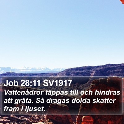 Job 28:11 SV1917 Bible Verse Image