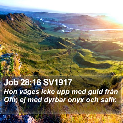Job 28:16 SV1917 Bible Verse Image
