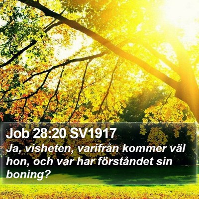 Job 28:20 SV1917 Bible Verse Image