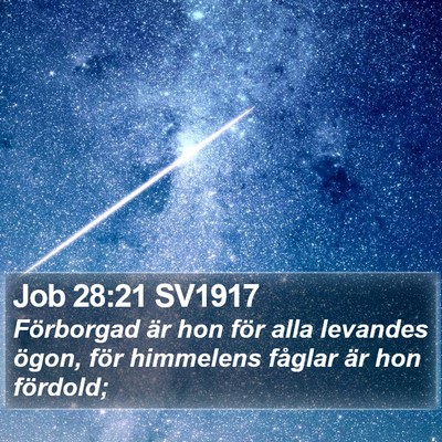 Job 28:21 SV1917 Bible Verse Image