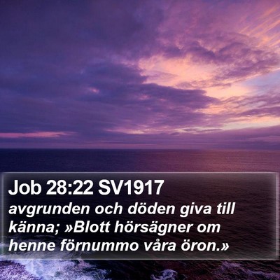 Job 28:22 SV1917 Bible Verse Image