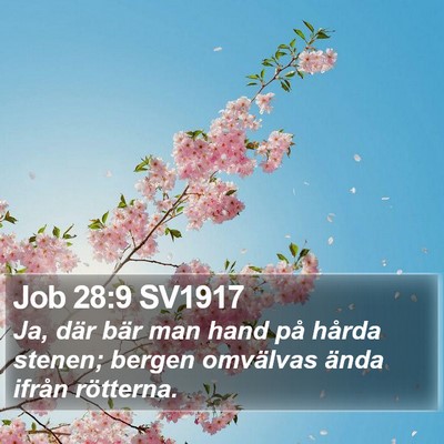 Job 28:9 SV1917 Bible Verse Image