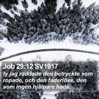 Job 29:12 SV1917 Bible Verse Image