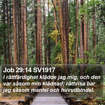 Job 29:14 SV1917 Bible Verse Image