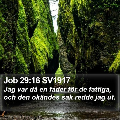 Job 29:16 SV1917 Bible Verse Image