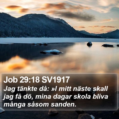 Job 29:18 SV1917 Bible Verse Image