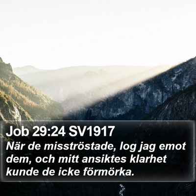 Job 29:24 SV1917 Bible Verse Image