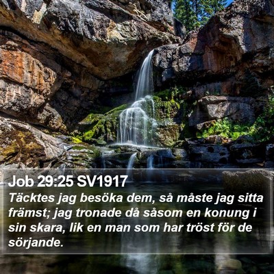 Job 29:25 SV1917 Bible Verse Image