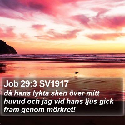 Job 29:3 SV1917 Bible Verse Image
