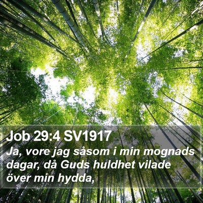 Job 29:4 SV1917 Bible Verse Image