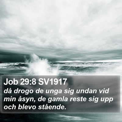 Job 29:8 SV1917 Bible Verse Image