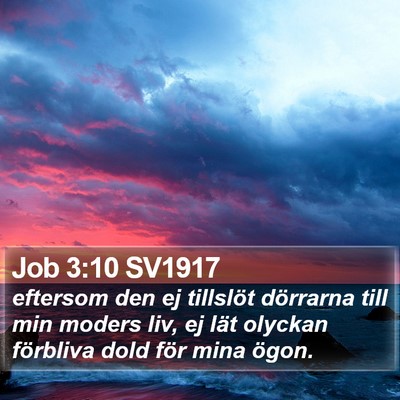 Job 3:10 SV1917 Bible Verse Image
