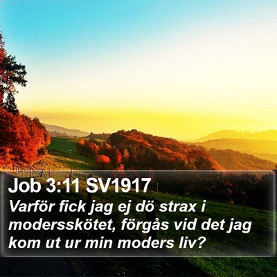 Job 3:11 SV1917 Bible Verse Image