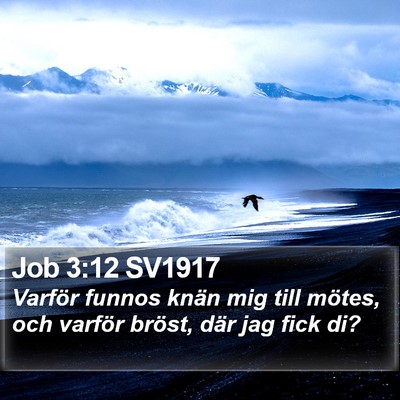 Job 3:12 SV1917 Bible Verse Image