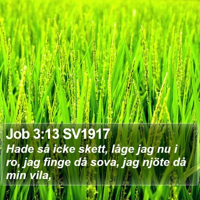 Job 3:13 SV1917 Bible Verse Image