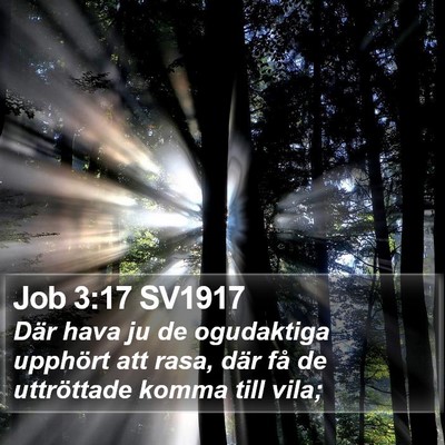 Job 3:17 SV1917 Bible Verse Image